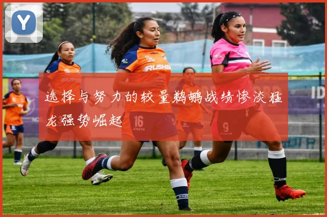选择与努力的较量鹈鹕战绩惨淡猛龙强势崛起